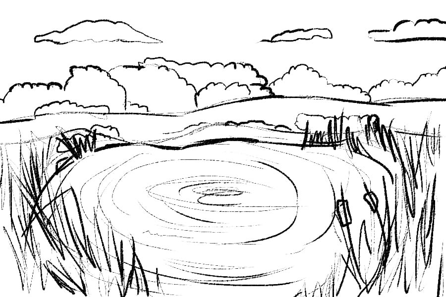 Lake and reeds